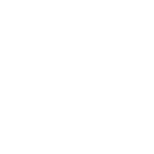 Via Del Vino Logo